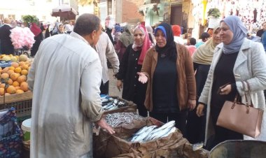 محافظ الدقهلية استمرار تنفيذ الحملات التموينية بنطاق المحافظة لرفع المعاناة عن المواطنين