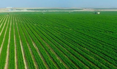 مصدر تستهدف الوصول بالصادرات الزراعية ل14 مليار دولار خلال 2030