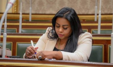 عضو «إفريقية النواب» لـ«العاصمة»: مصر لا تتاجر باللاجئين وتحترم كرامتهم