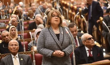 وكيل الشيوخ تطالب بتطوير التعليم الفني وتجربة المدارس التكنولوجية التطبيقية