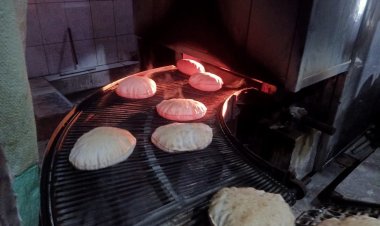 محافظ كفر الشيخ: تحرير 199 محضراً متنوعاً بالحملات التموينية لضبط الأسعار