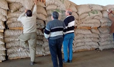 الزراعة تكثف حملات الرقابة والتفتيش على محطات ومنافذ بيع تقاوى البطاطس