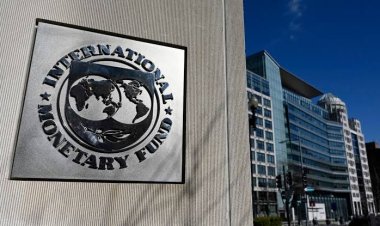 صندوق النقد: نعمل على زيادة حجم التمويل المقدم لمصر