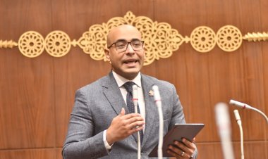 منها تقليل النفقات.. النائب علاء مصطفى يكشف عن مميزات «الرعاية الصحية عن بُعد»