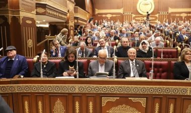 برلماني: زيادة عدد السكان يؤدي إلى زيادة في الطلب على الخدمات الصحية