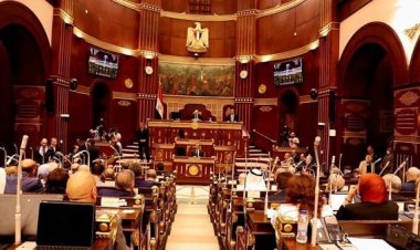 رئيس صحة الشيوخ: وزارة الصحة تسعى بجهد لتقديم خدمة لائقة للمواطن المصري