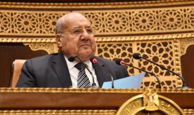 رئيس «الشيوخ» يحيل طلب مناقشة «التحديات الاقتصادية بشأن الملف الصحي» للجان النوعية