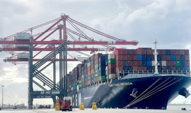 وصول سفينة حاويات عملاقة إلى ميناء الإسكندرية (صور)