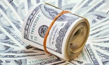 سعر الدولار اليوم في مصر تحديث يومي