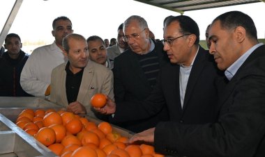 رئيس الوزراء يتفقد محطة شركة "جامكو" لتعبئة البرتقال بالنوبارية