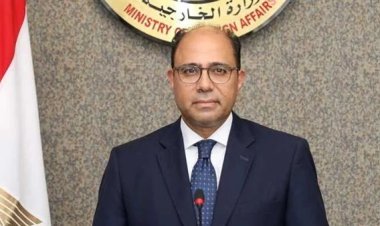 الخارجية: مصر تطالب بحرية الملاحة والتجارة في البحر الأحمر