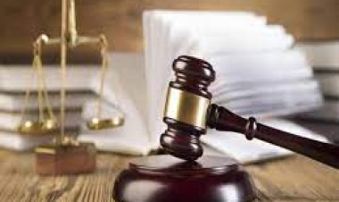 نيابة الطور الإدارية تستعيد 16 مليون جنيه لصالح الشهر العقارى 