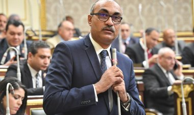 النائب إيهاب منصور: سأتابع صرف مستحقات عمال شركة الحديد والصلب بـ«حلوان»