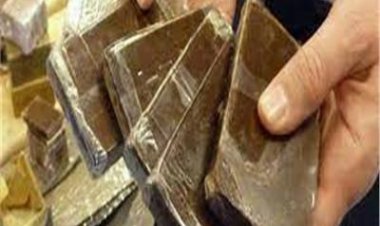 القبض على عاطلين بحوزتهما مواد مخدرة بالجيزة