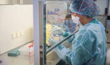 ننشر تحذيرات منظمة الصحة العالمية حول تهديدات فيروسية جديدة وسط اجتماع زعماء العالم في دافوس