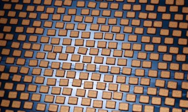 بريطانيا تقرر سحب بسكويت بسبب حشرة العثة.. «تفاصيل»