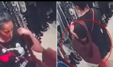 استقالة النائبة النيوزيلندية غولريز قهرمان بعد فضيحة سرقة وتأثيرات التصلب اللويحي