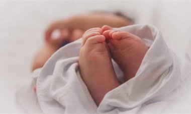 خوفًا من زوجها.. سيدة تدعى حملها كذبًا وتخطف طفل حديث الولادة من داخل مستشفى بالمنيا