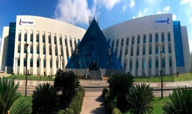 خلال 6 أشهر.. المصرية للاتصالات تعتزم بدء تقديم خدمات الجيل الخامس