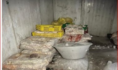 ضبط 3.5 طن لحوم فاسدة داخل ثلاجة بالمرج.. و8 آلاف عبوة مستحضرات تجميل مجهولة المصدر بالزيتون