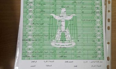 «ولدته في السويس وأسمته عبدالفتاح السيسي».. فلسطينية تضع مولودها في مصر