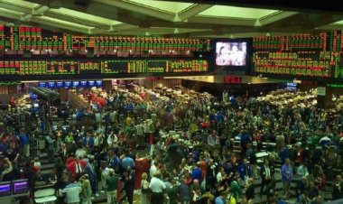 رسميًا.. تغيير اسم البورصة المصرية للسلع لـ«البورصة السلعية- مصر»