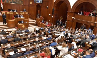 مجلس الشيوخ يناقش سياسة الحكومة في تعزيز كفاءة صناعة خدمات التعهيد للبرمجيات وتكنولوجيا المعلومات