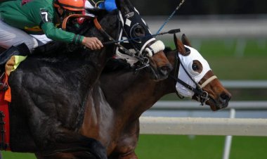 رجل يفوز بسباق خيل بعد موته.. كيف ذلك؟!