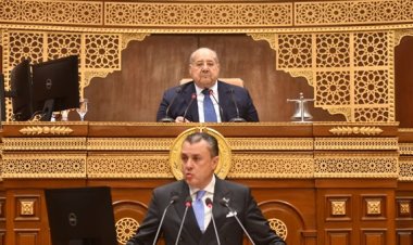 وزير السياحة أمام الشيوخ: قانون واتحاد الغرف السياحية سيصدران خلال أسبوع