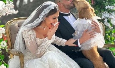 زواج أحمد الفيشاوي ومي سليم.. ما القصة