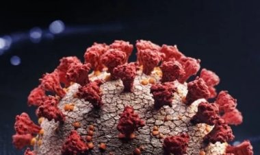 تحذير علمي من تفشي فيروسات زومبي السيبيريا بسبب ذوبان التربة الصقيعية في القطب الشمالي