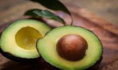 تعرف على فوائد الأفوكادو لخسارة الوزن