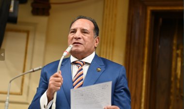 «أبو هميلة»: محطة الضبعة النووية لـ«توليد الكهرباء» إنجاز اقتصادي وتكنولوجي لمصر