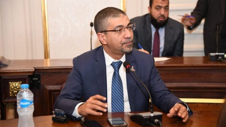تحقق التنمية المستدامة لمصر 2023.. برلماني يشيد بوثيقة التوجهات الاستراتيجية للاقتصاد المصري
