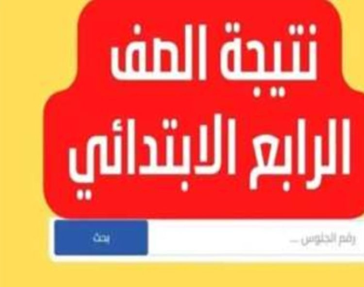 رابط نتيجة الصف الرابع الابتدائي 2024 الترم الأول