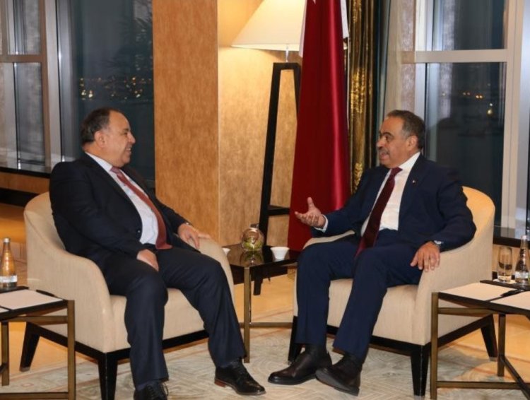 وزير المالية: حريصون على تعزيز التعاون المالي والضريبي والجمركي مع قطر