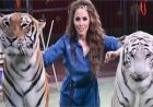 مدربة الأسود أنوسة كوتة تكشف عن تفاصيل علاقتها الخاصة بالنمور