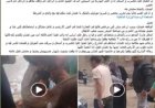 ضبط طرفي مشاجرة بسبب "ضوضاء دروس خصوصية" بالغربية