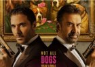 «يا وليدي ياه».. الأغنية الرسمية لفيلم «7 Dogs» تشعل حماس الجمهور