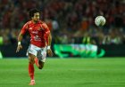 براتب "الفئة الأولى".. محمد هاني يجدد عقده مع الأهلي حتى 2029