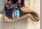 فيديو صادم في الإسكندرية.. أطفال على حافة الخطر خارج شباك شقة مرتفعة
