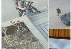 الأمن يكشف كواليس فيديو اختطاف مسن فى التجمع الخامس 