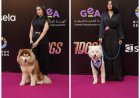 ​«كلاب على الريد كاربت».. أجواء الإثارة تسيطر على العرض الخاص لفيلم «7Dogs»