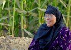 الحاجة نبيلة صاحبة "البامية شوكتني" بعد غناء تتر مسلسل «ولد وبنت وشايب»: لسه بلم السريس والجعضيض