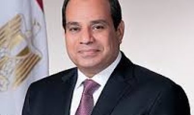 وكيل تشريعية الشيوخ.. قرارات الرئيس تستهدف تخفيف العبء  عن المواطنين