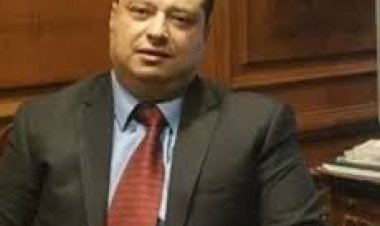 قيادي بـ«حزب الغد»: ثورة 30 يونيو أعادت الاستقرار وبدأت مسيرة البناء والتنمية