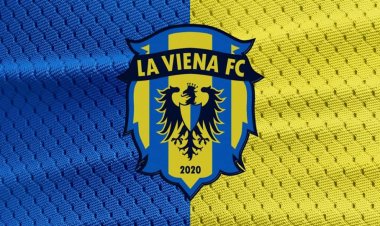 بحضور «الأسيوطي» وأسر اللاعبين.. نادي «لافيينا» يدعم بيراميدز أمام الأهلي