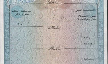 استخراج شهادة ميلاد «أون لاين»