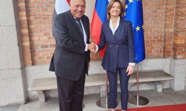 وزير الخارجية يبحث مع نظيرته السلوفينية تعزيز التعاون الاقتصادي بين البلدين