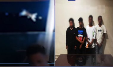 القبض على المتهمين بإلقاء قطة جائعة فى النيل 